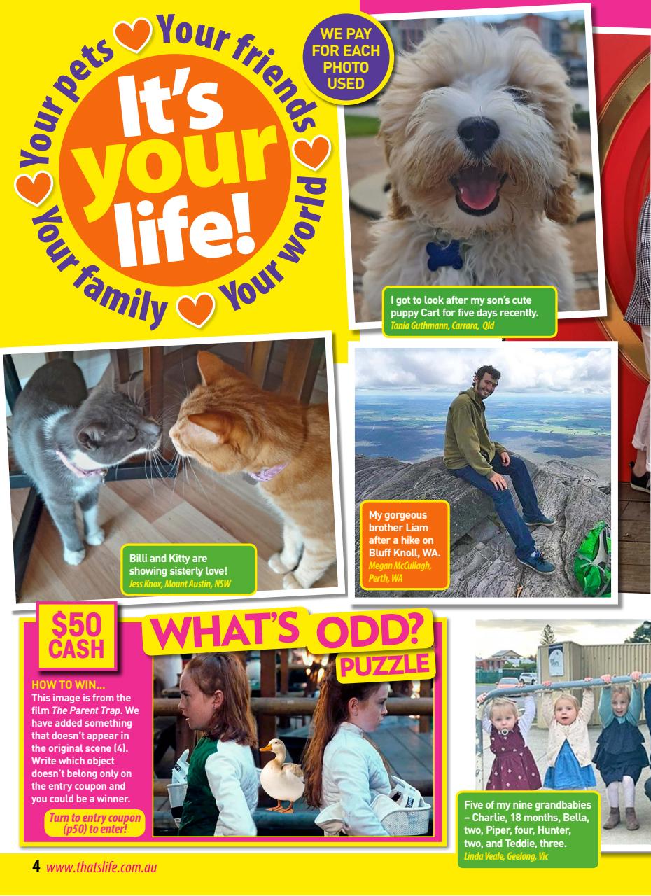 That’s Life! Preview Pages