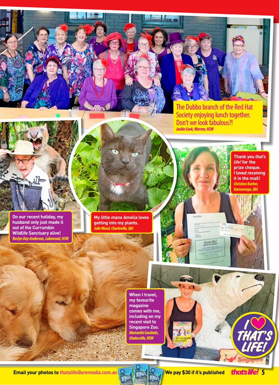 That’s Life! Preview Pages