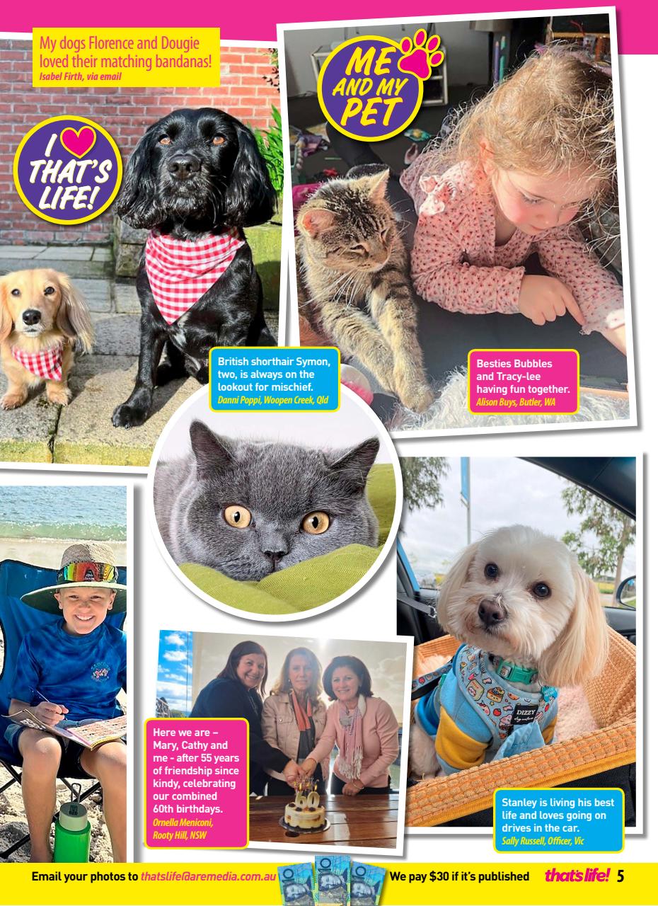 That’s Life! Preview Pages