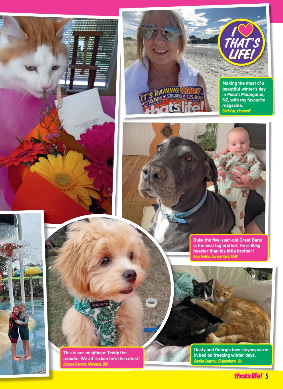 That’s Life! Preview Pages