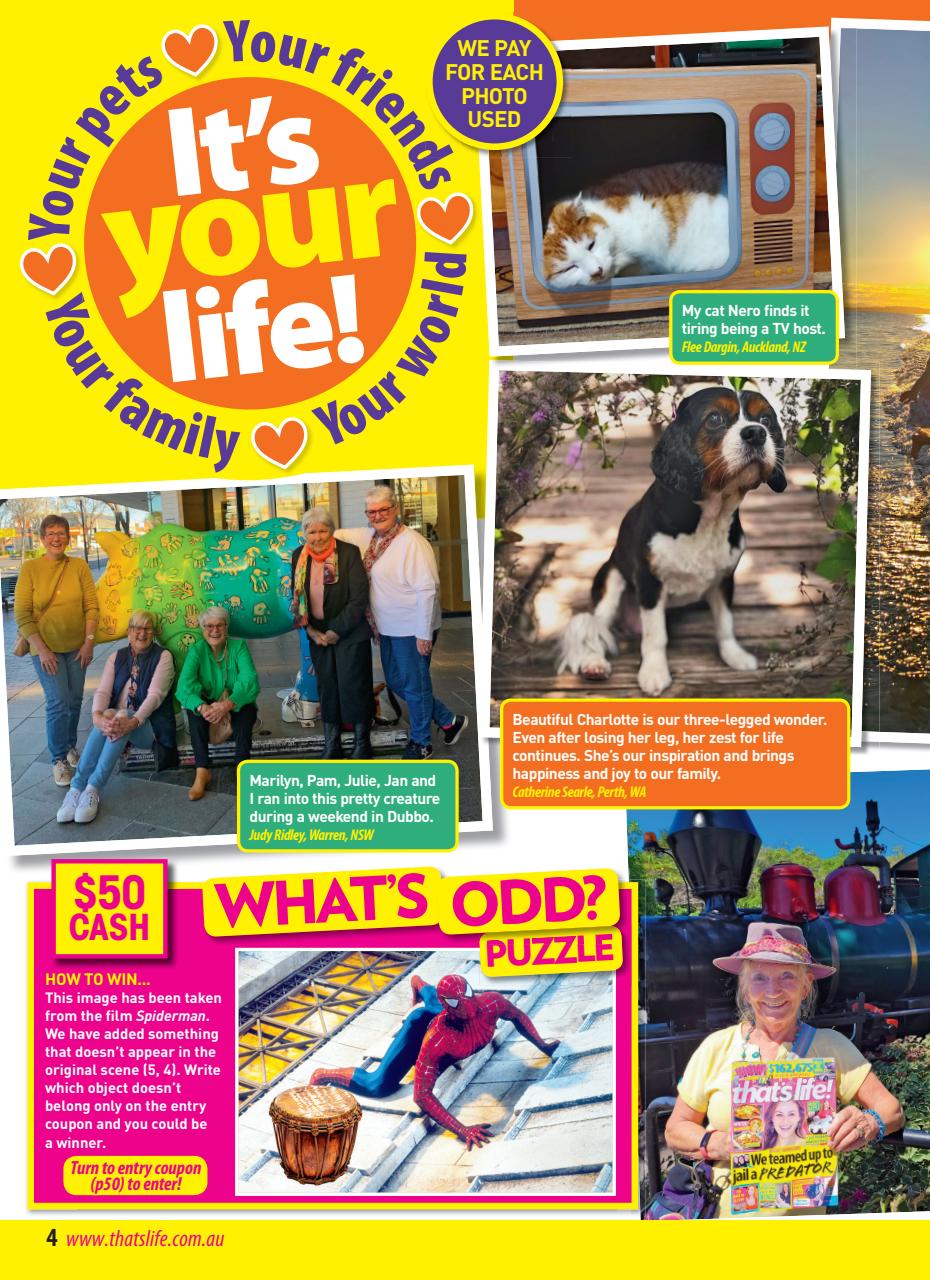 That’s Life! Preview Pages