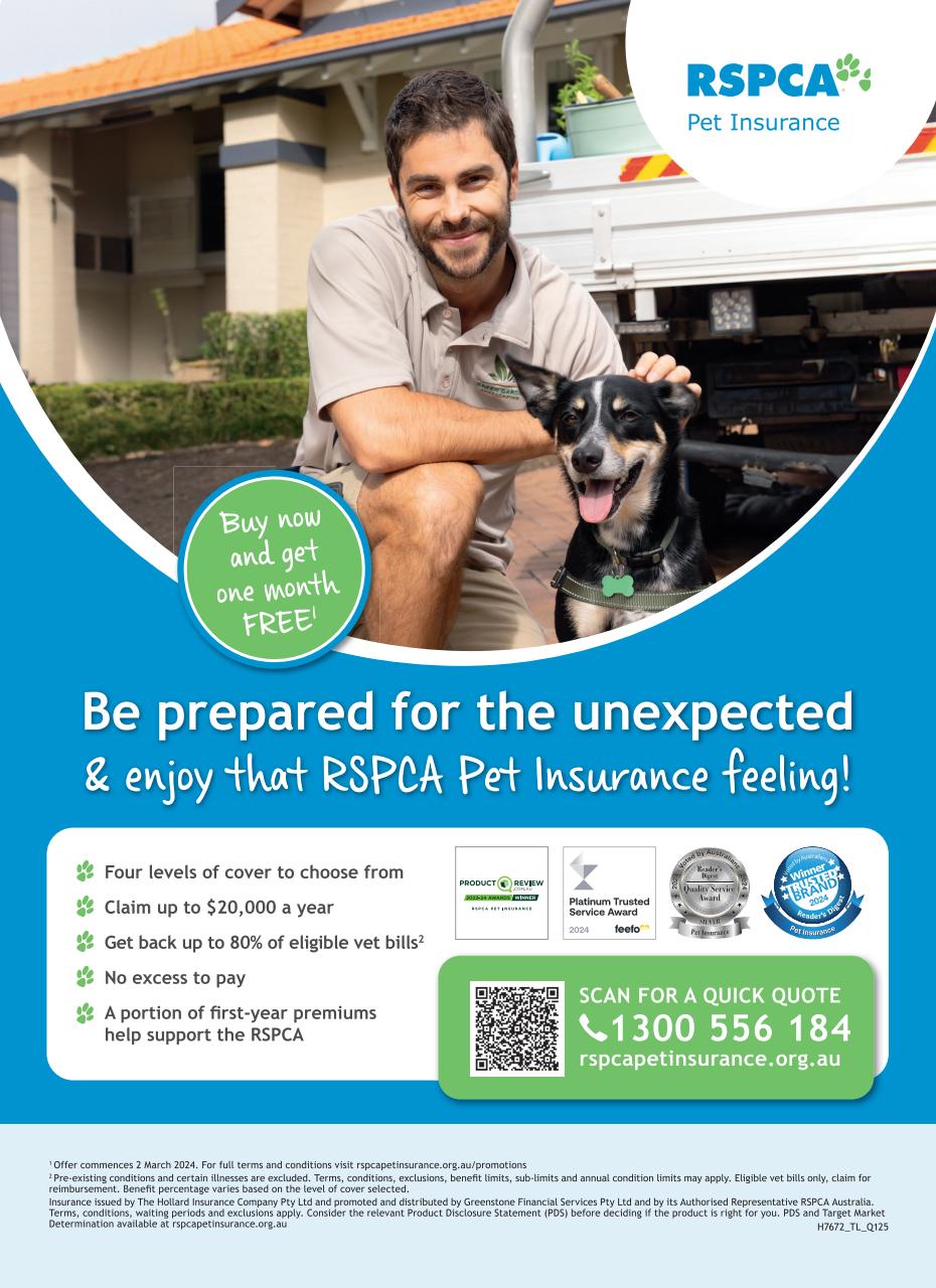 That’s Life! Preview Pages