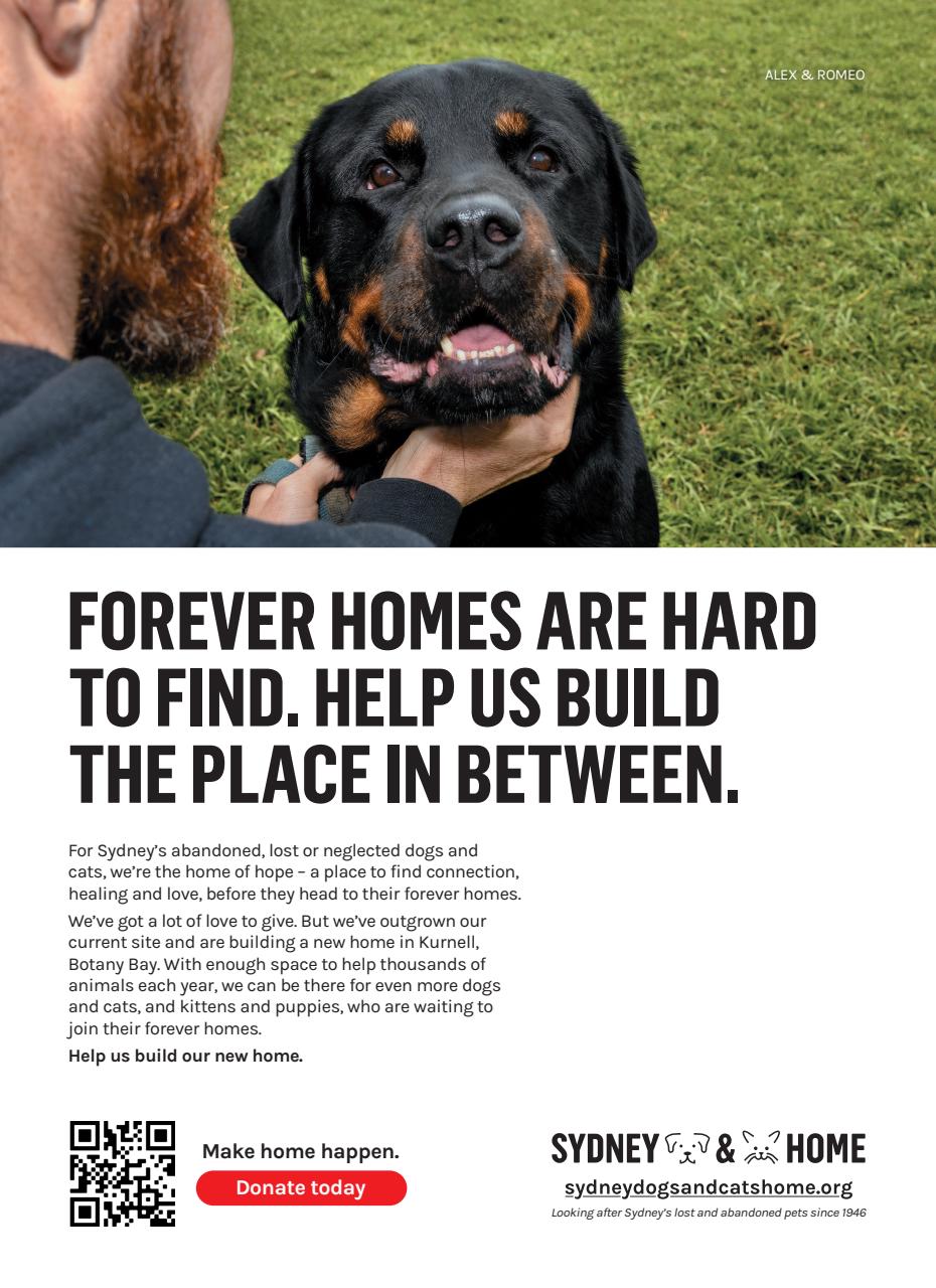 That’s Life! Preview Pages