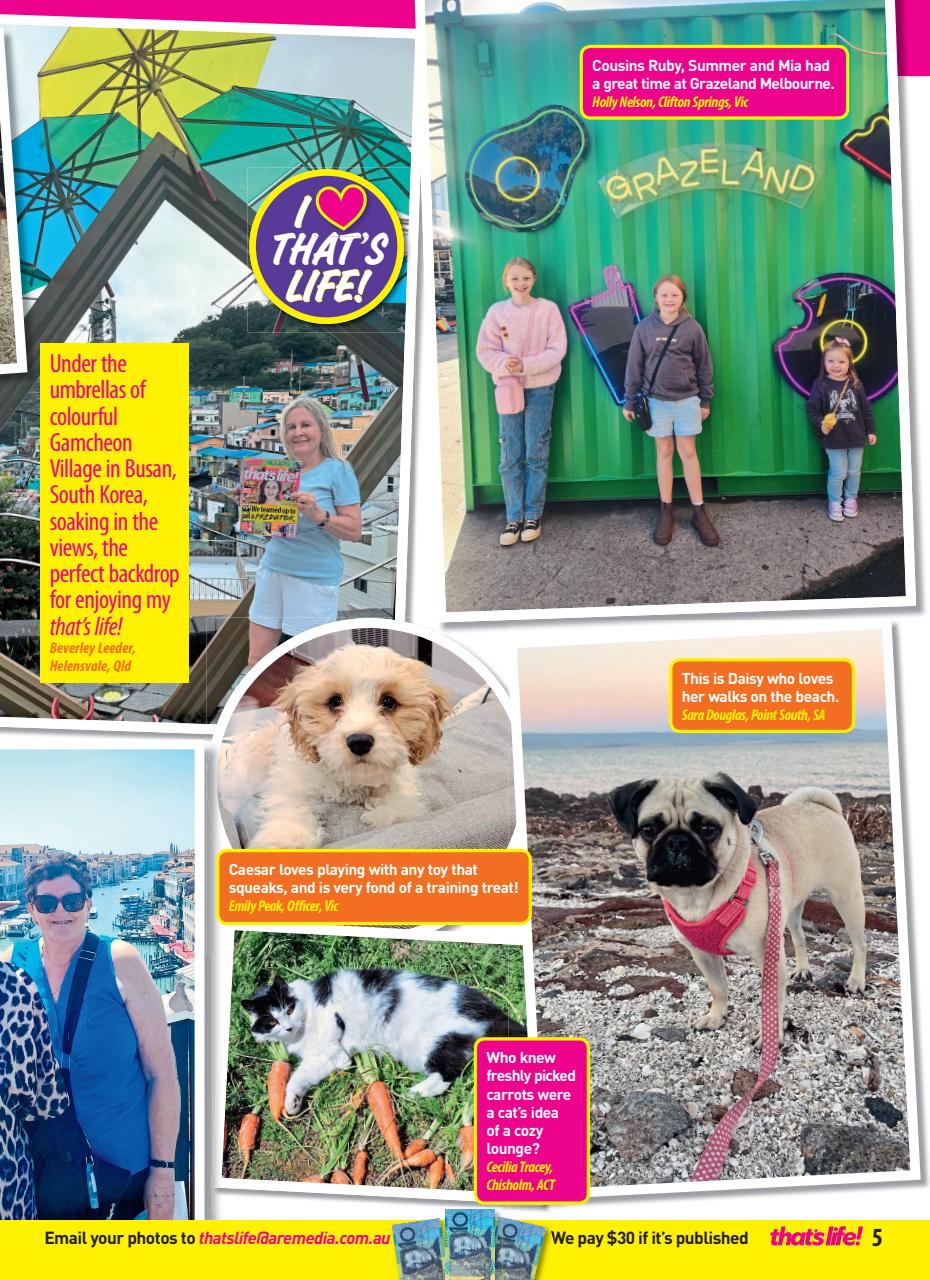 That’s Life! Preview Pages