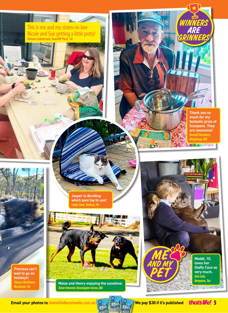 That’s Life! Preview Pages