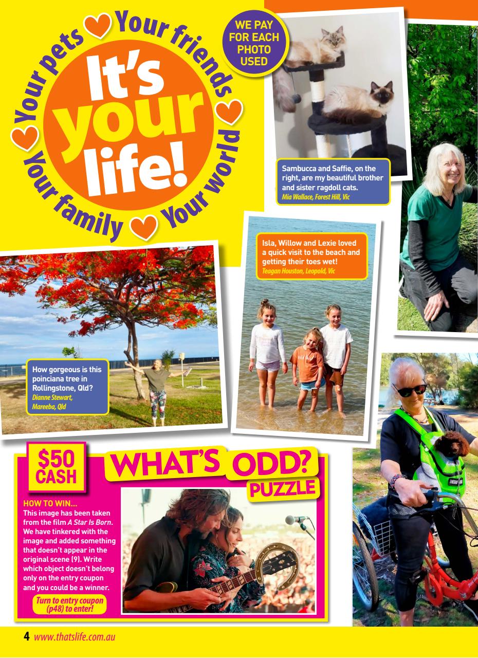 That’s Life! Preview Pages