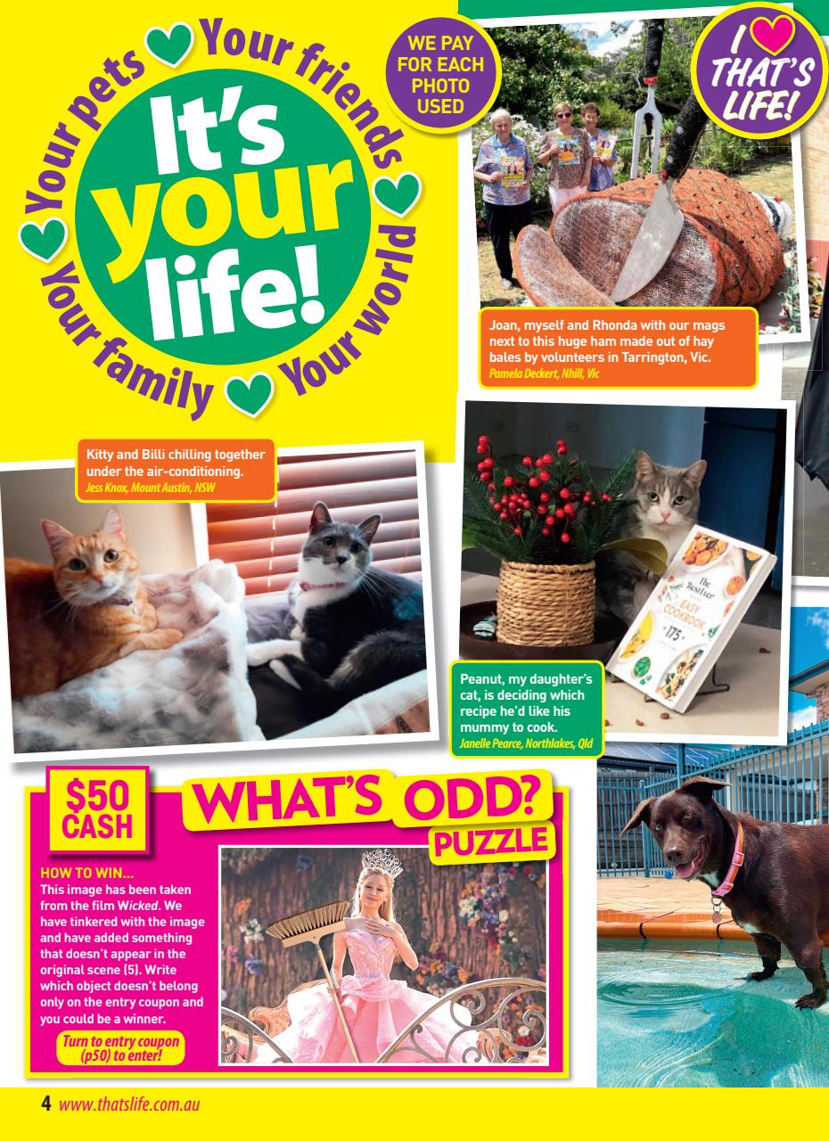 That’s Life! Preview Pages