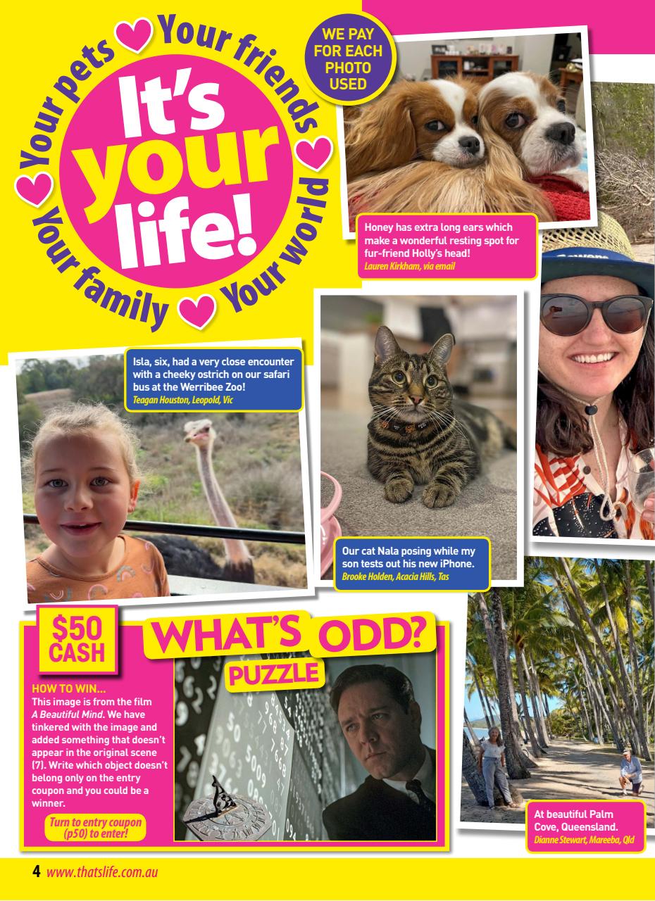 That’s Life! Preview Pages