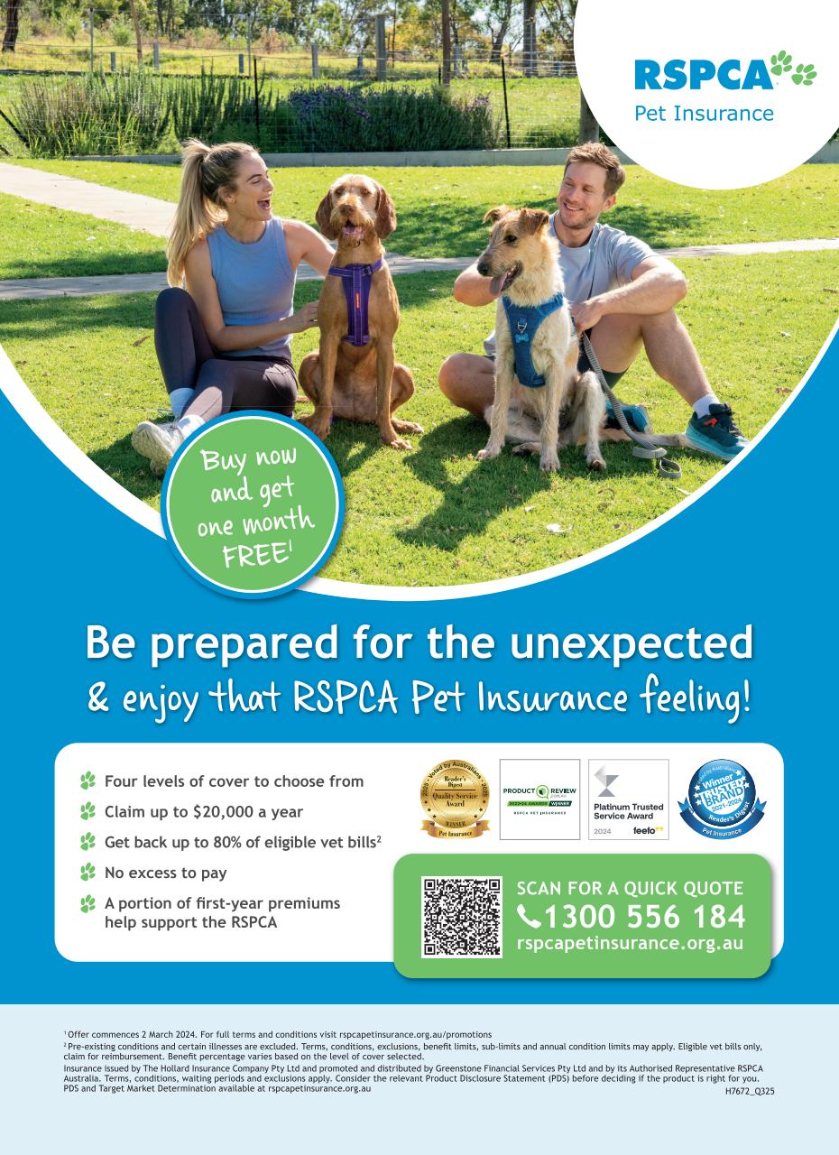 That’s Life! Preview Pages