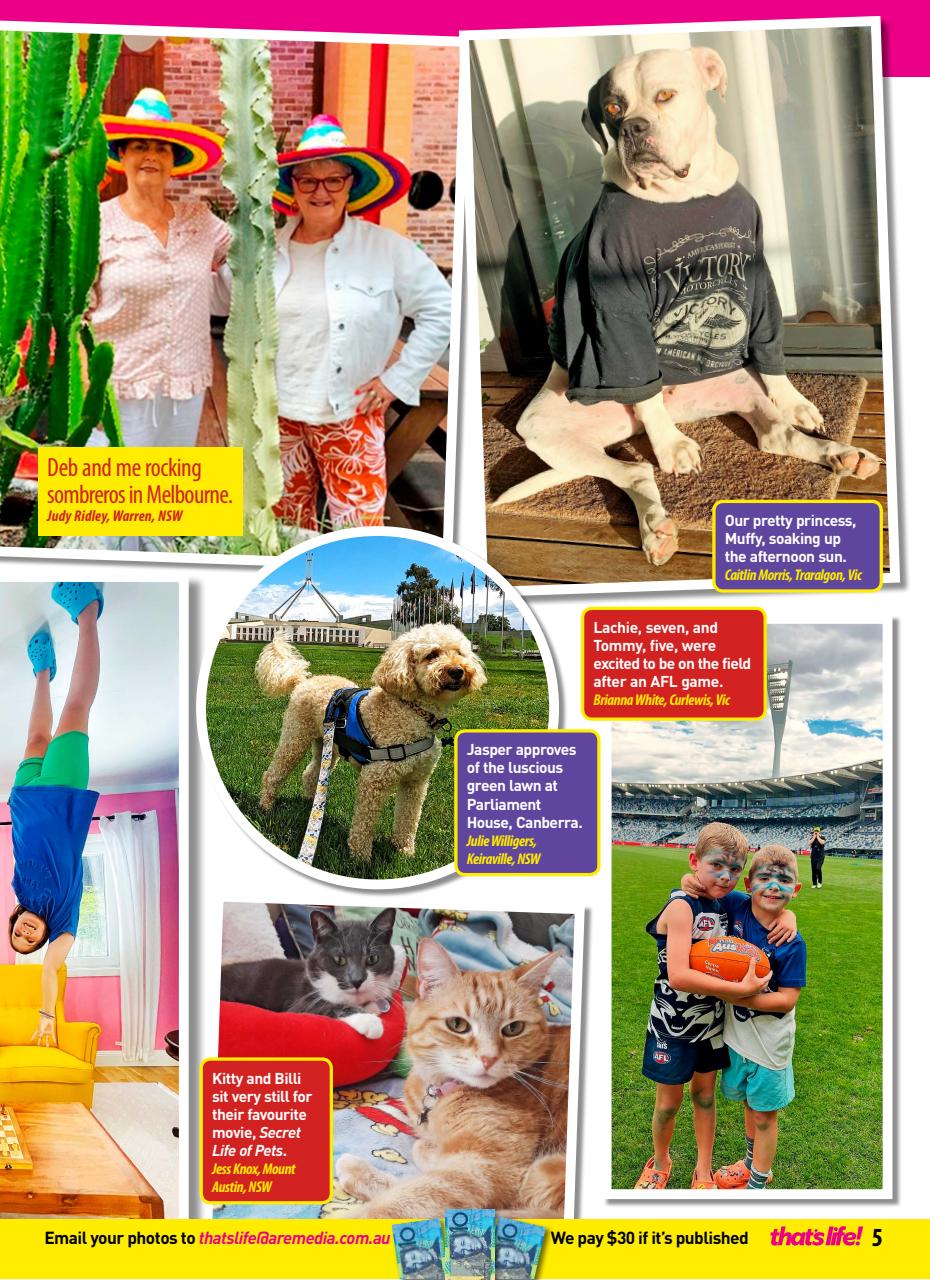 That’s Life! Preview Pages