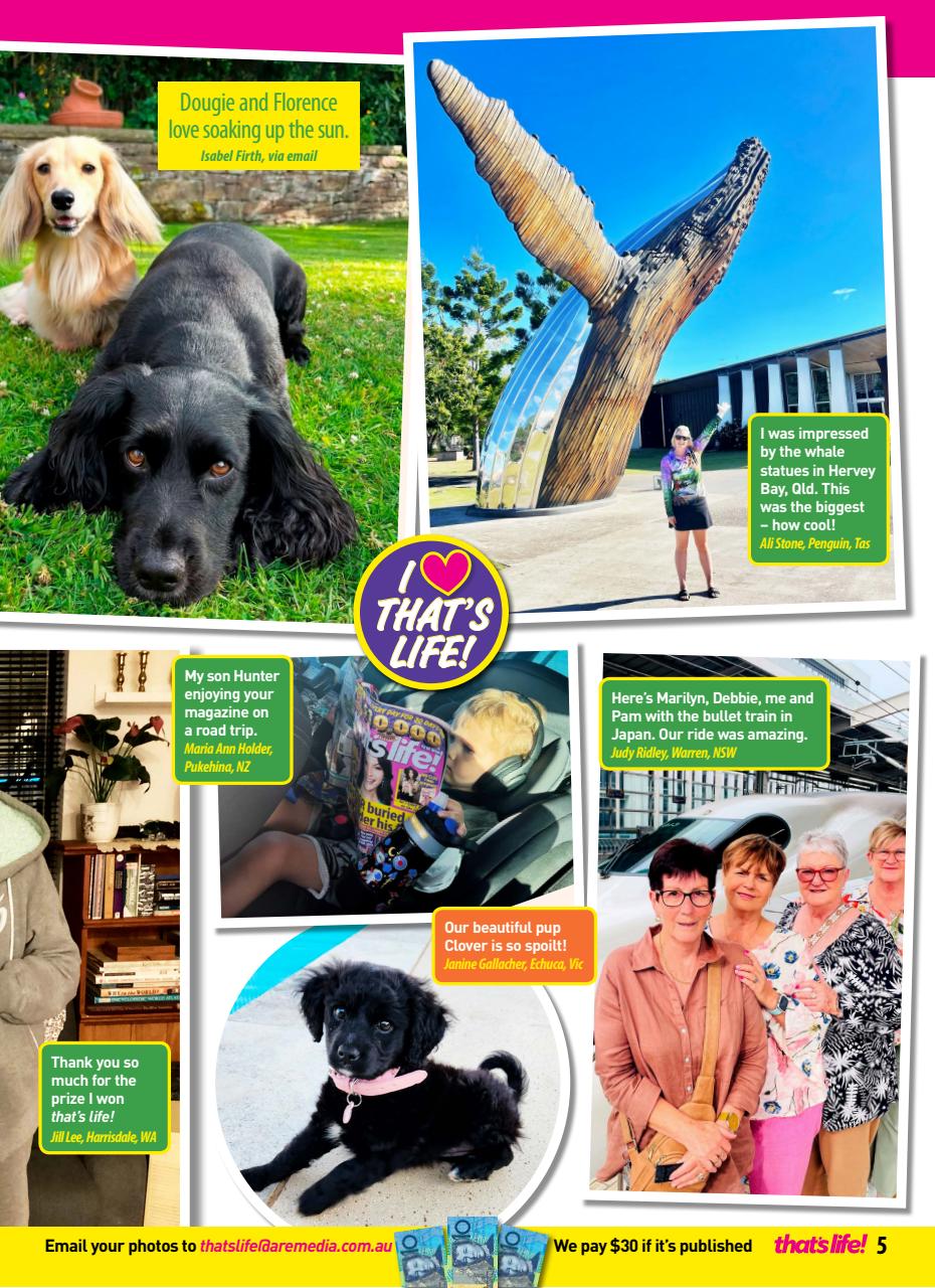 That’s Life! Preview Pages