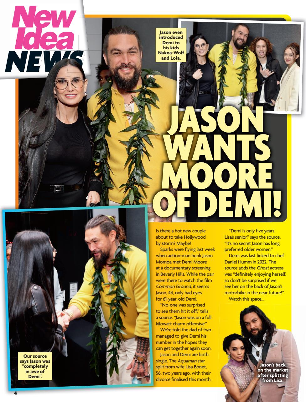 New Idea Preview Pages