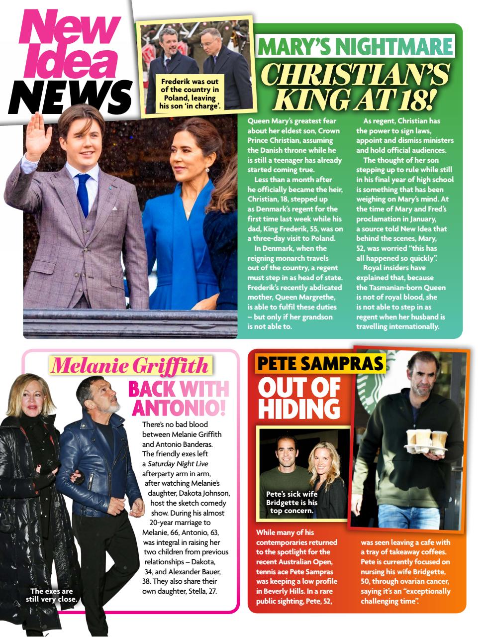 New Idea Preview Pages