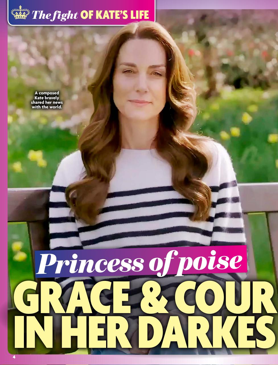 New Idea Preview Pages