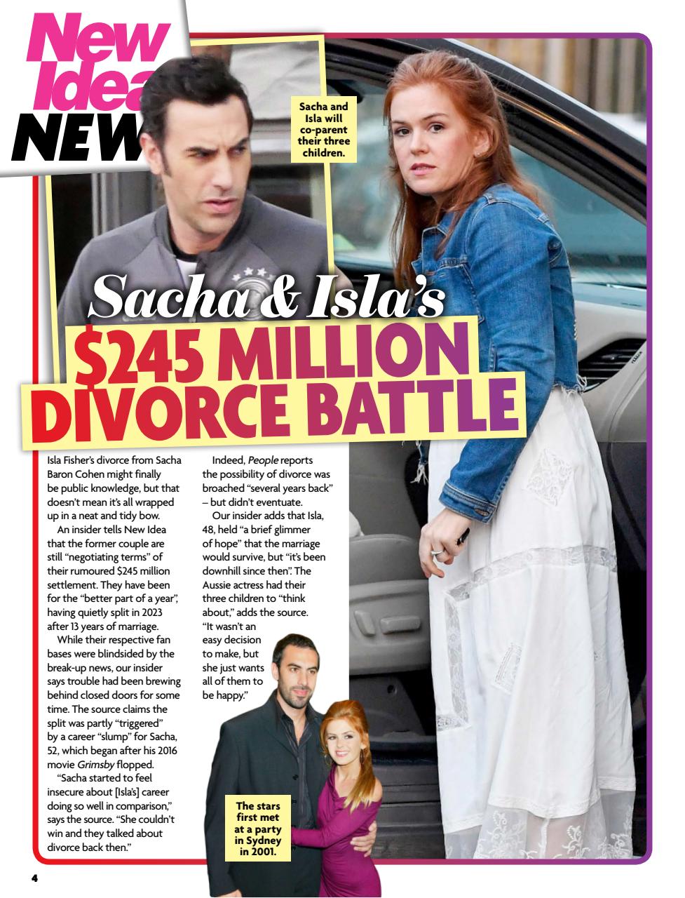 New Idea Preview Pages