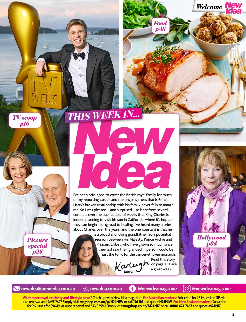 New Idea Preview Pages