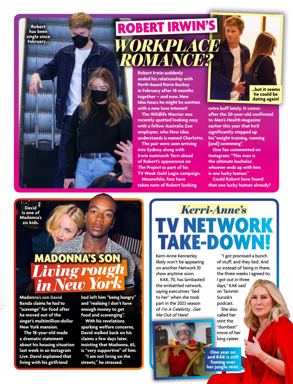 New Idea Preview Pages