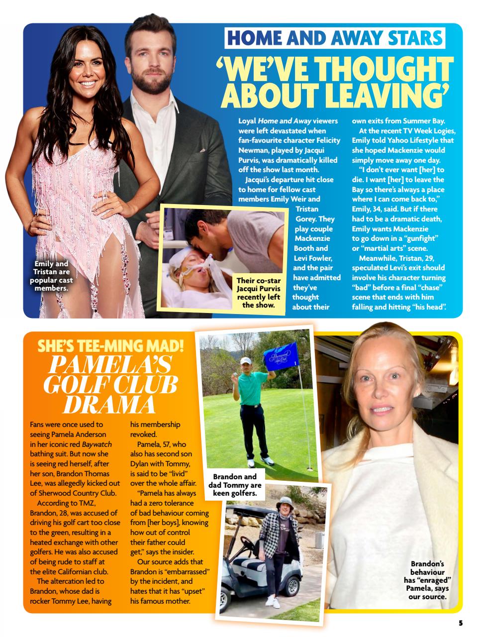 New Idea Preview Pages