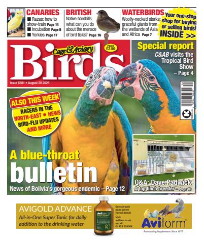 Cage & Aviary Birds issue 20th August 2025