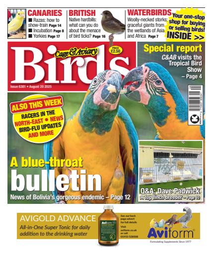 Cage & Aviary Birds issue 