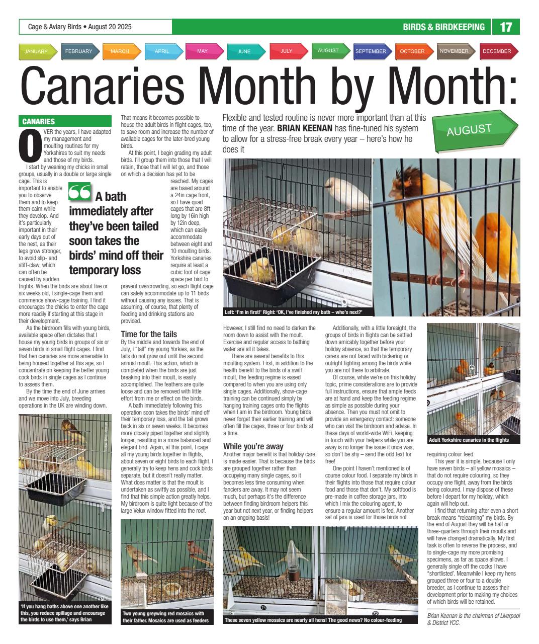 Cage & Aviary Birds Preview Pages