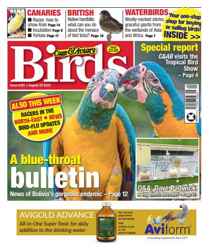 DISEASES OF CAGE AND AVIARY BIRDS レア本 DISEASES OF CAGE AND AVIARY BIRDS レア本