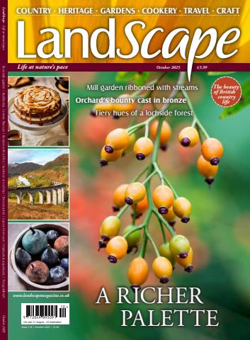 LandScape issue Oct-25