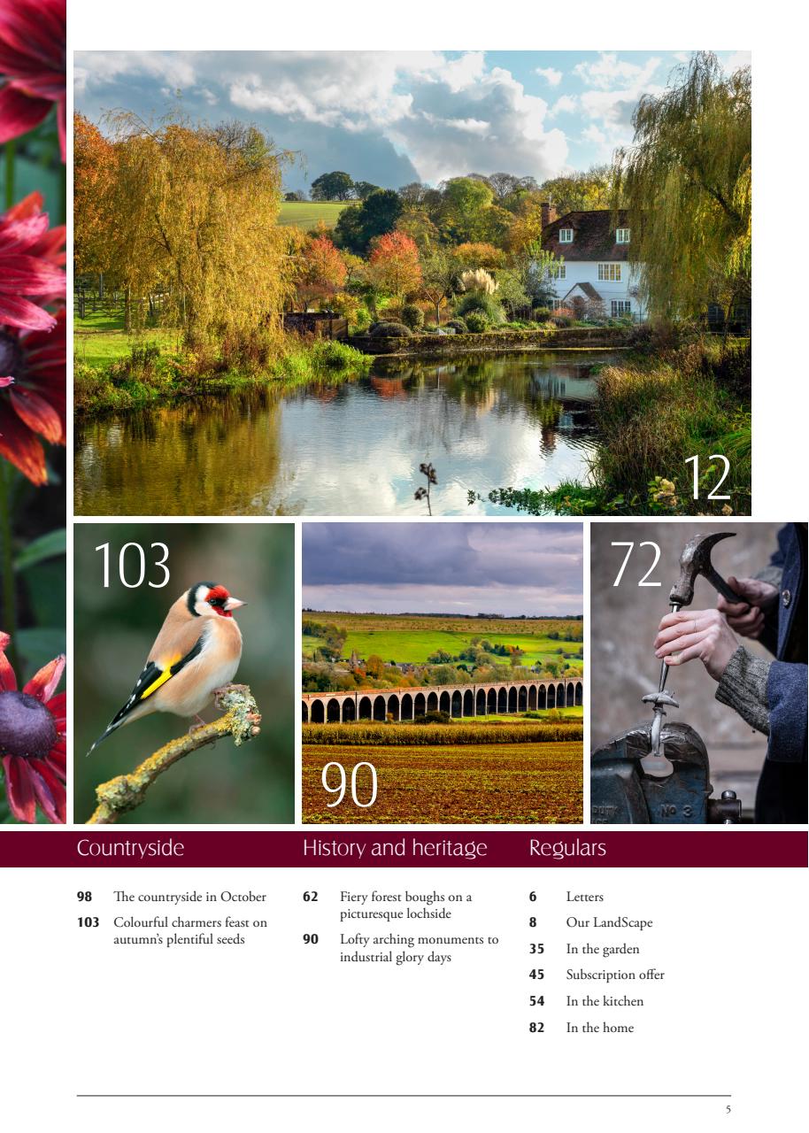 LandScape Preview Pages