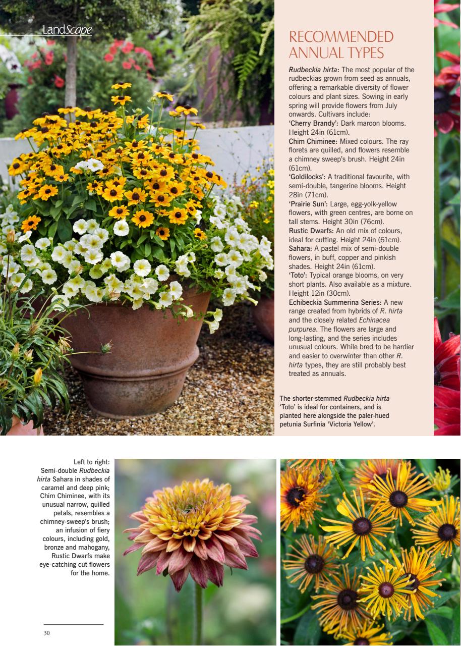 LandScape Preview Pages