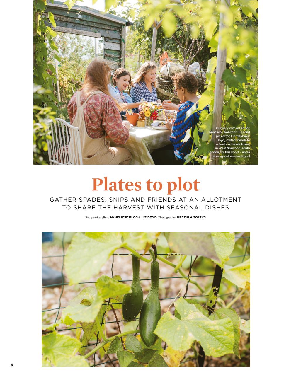 The Simple Things Preview Pages