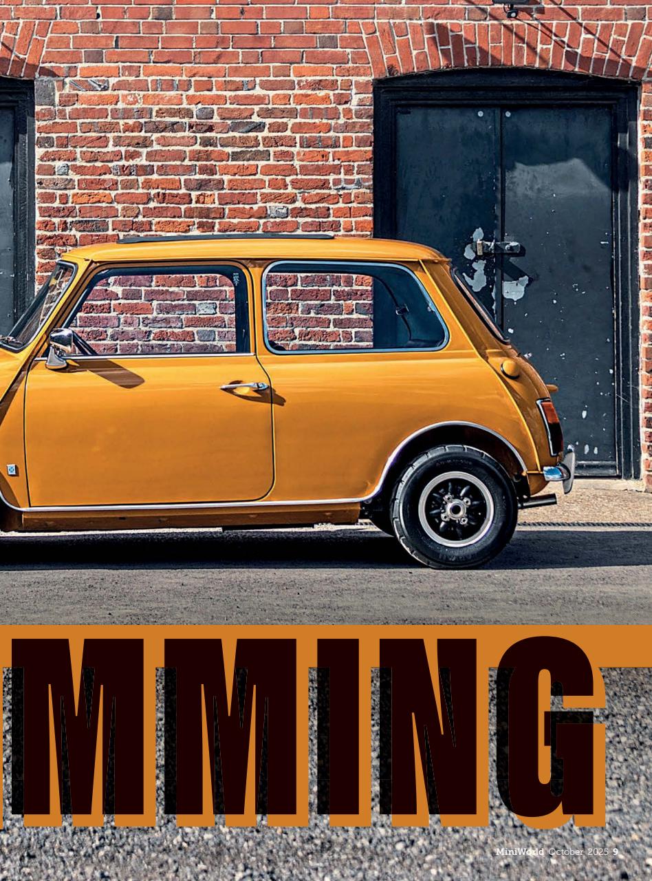 Mini World Preview Pages