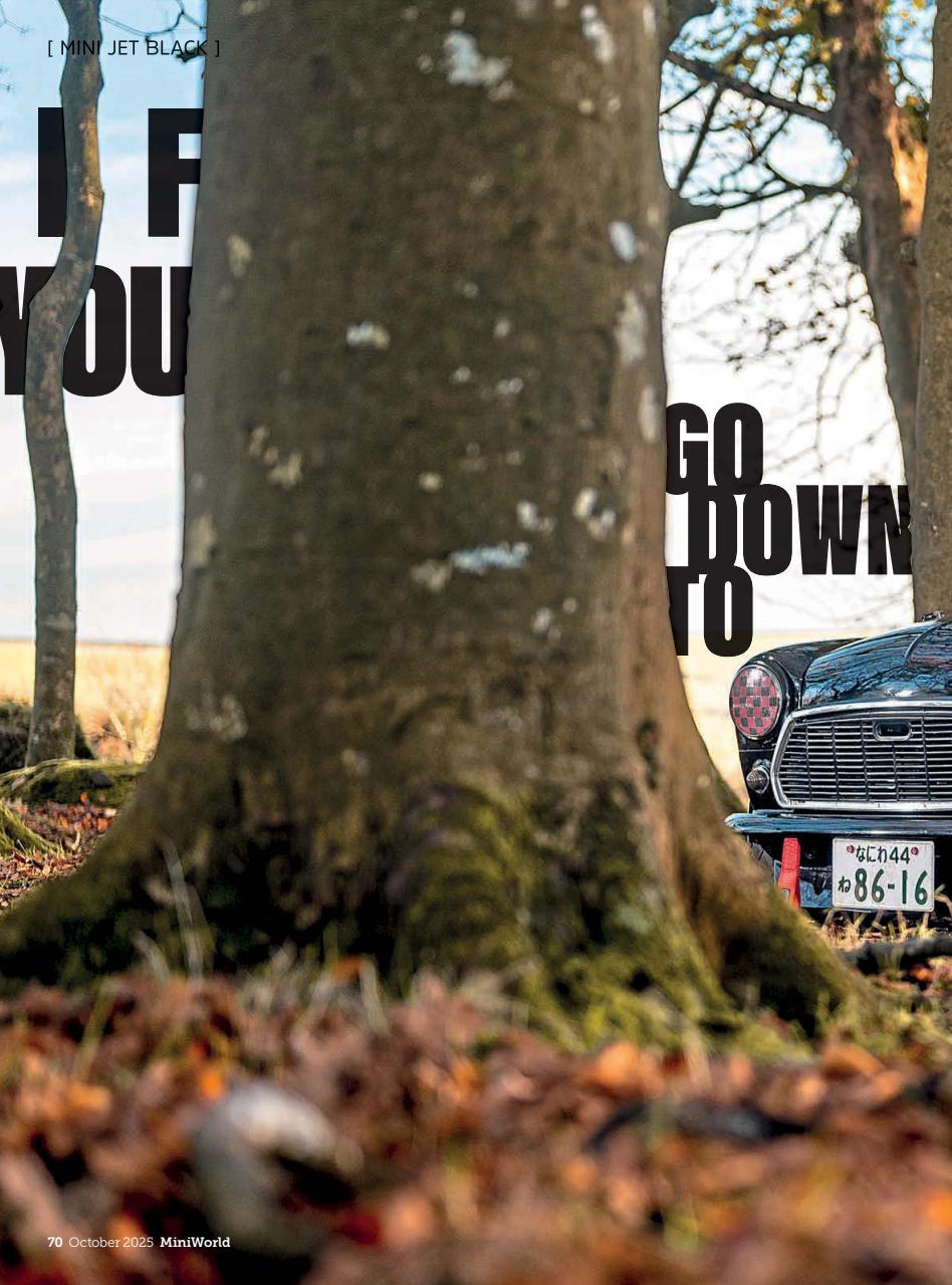 Mini World Preview Pages