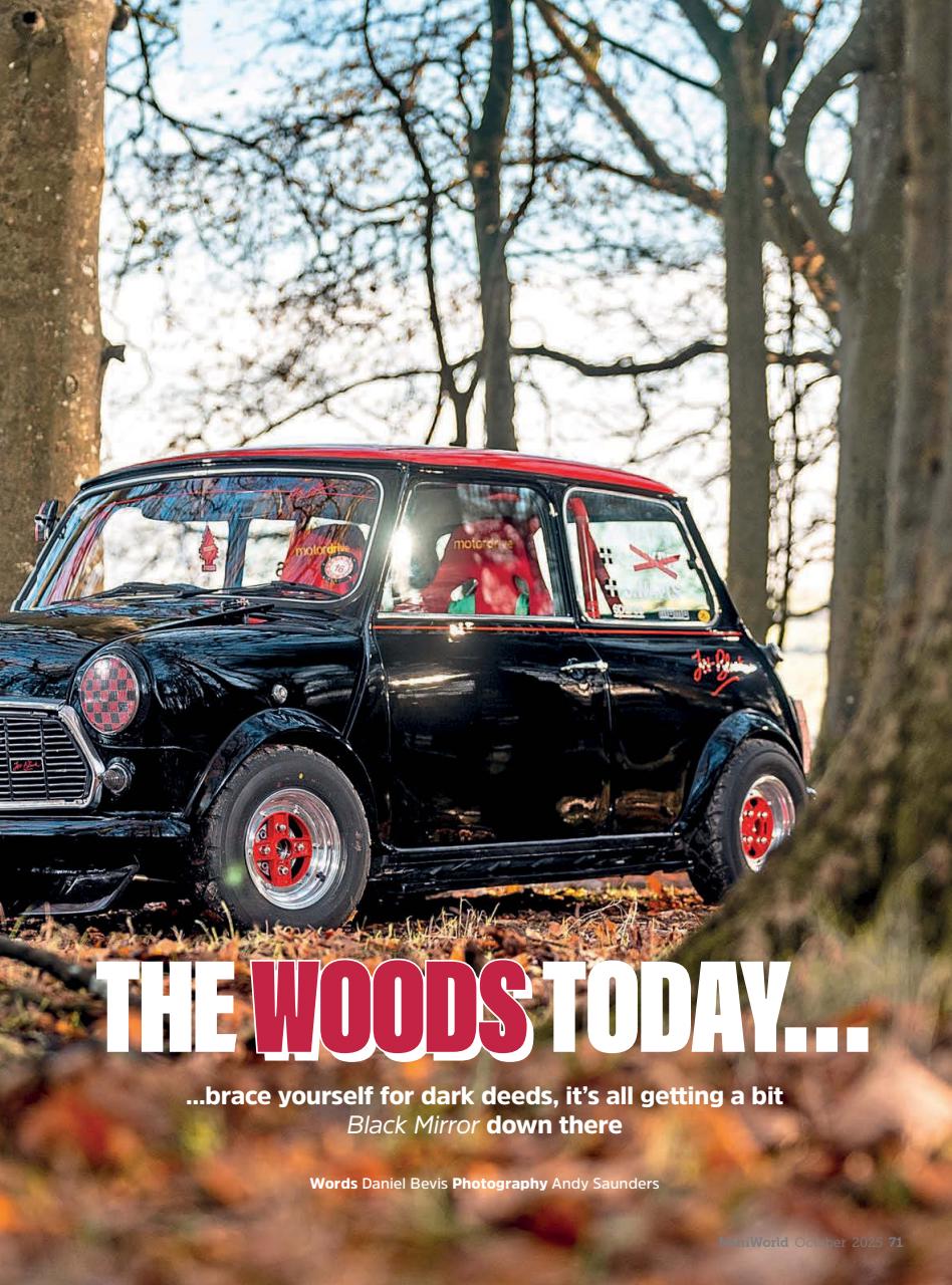 Mini World Preview Pages