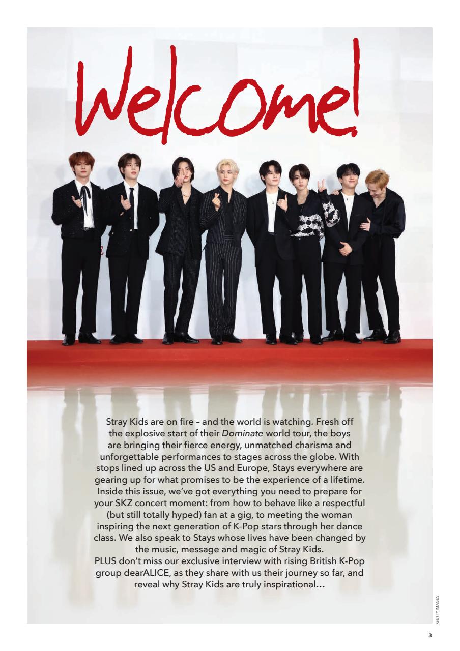 K-Pop Superstars Preview Pages