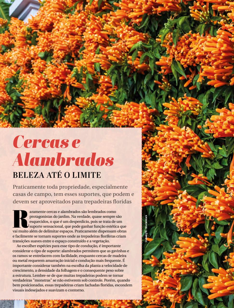 Natureza Preview Pages