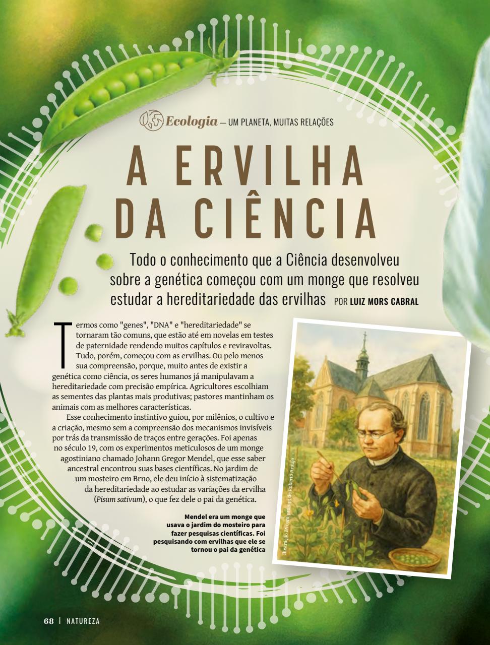 Natureza Preview Pages