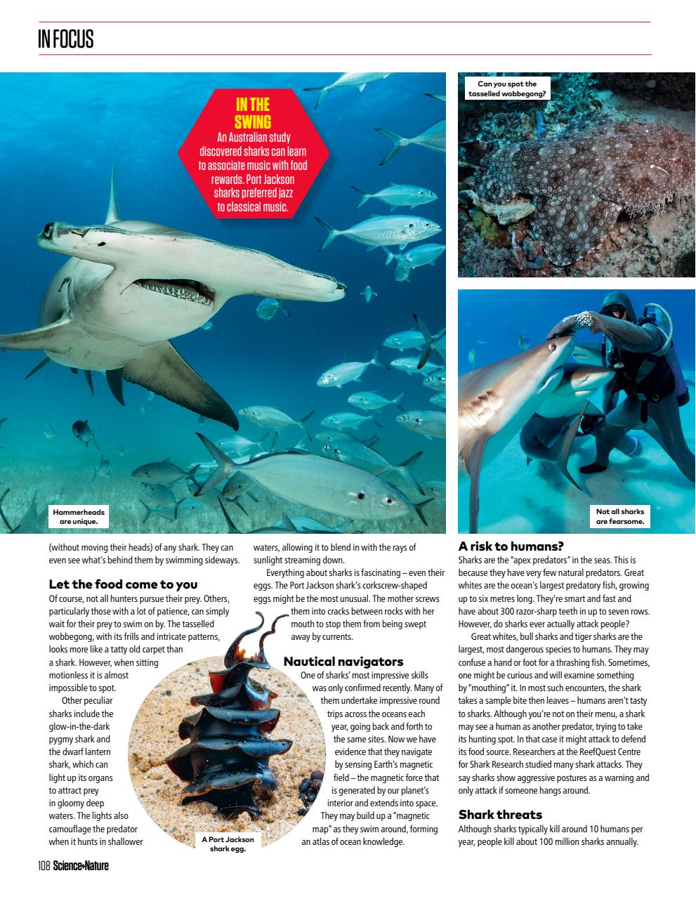 The Week Junior Bookazine Preview Pages