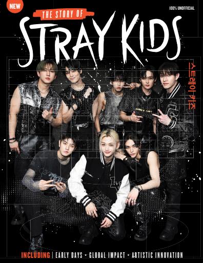 Music Magazine - Ultimate Stray Kids Fan Pack Third Edition Back Issue
