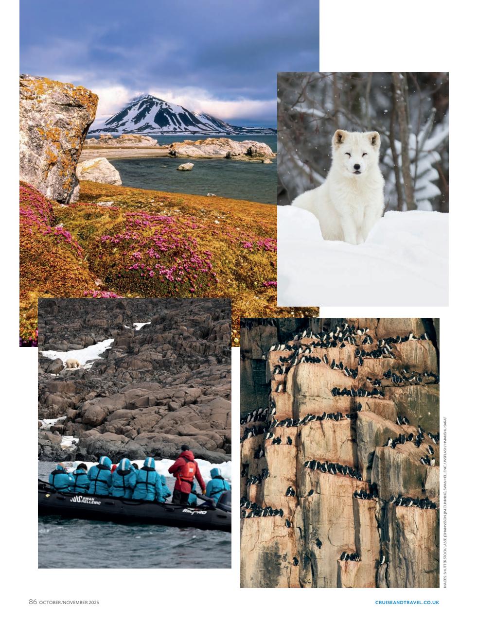 Cruise & Travel Preview Pages