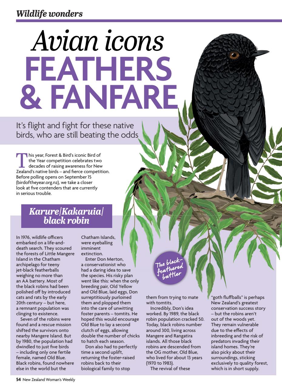 NZ Woman's Weekly Preview Pages