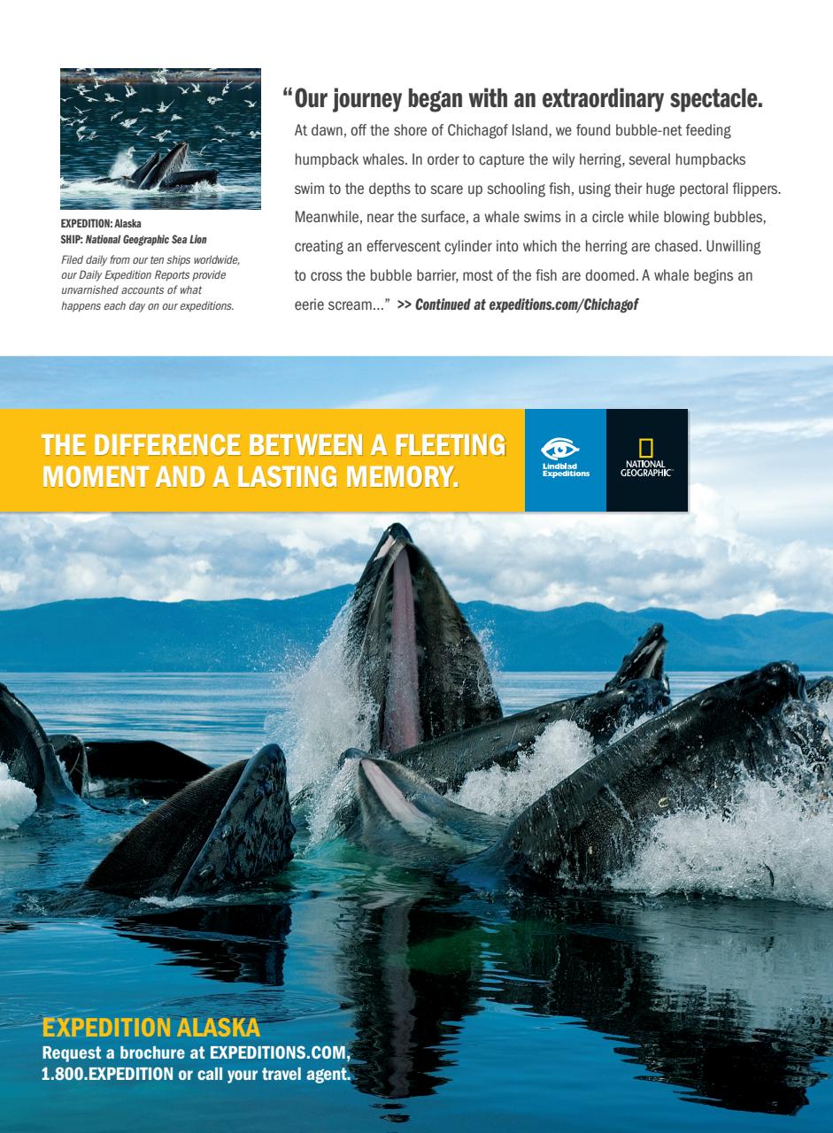 Smithsonian Magazine Preview Pages