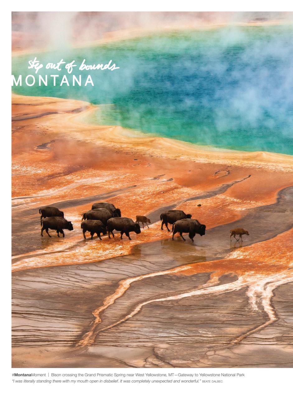 Smithsonian Magazine Preview Pages