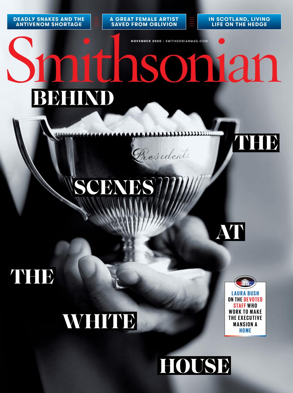 Smithsonian Magazine Preview Pages