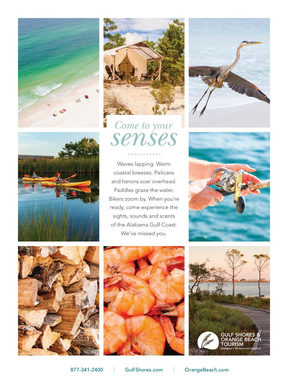 Smithsonian Magazine Preview Pages