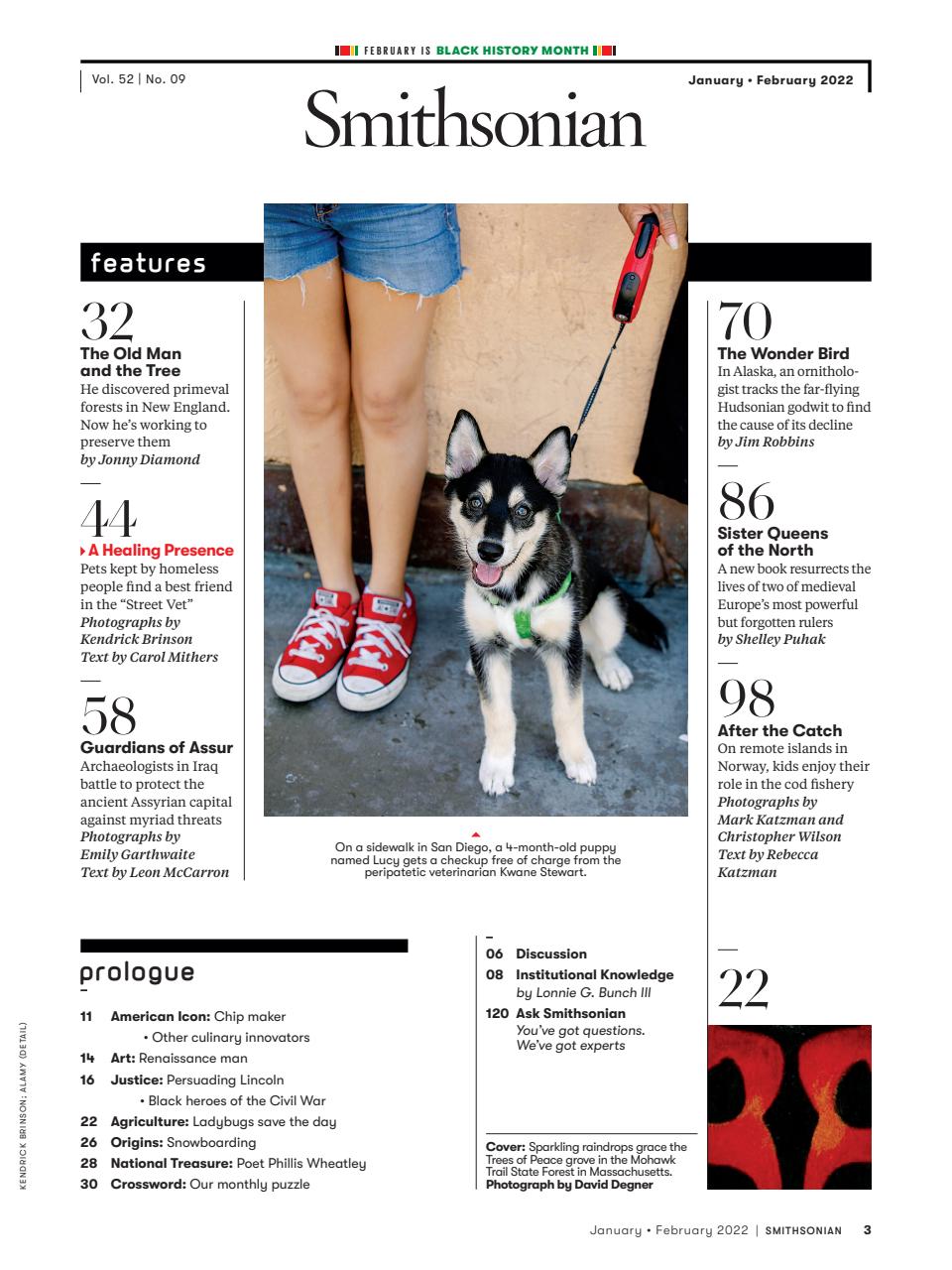 Smithsonian Magazine Preview Pages