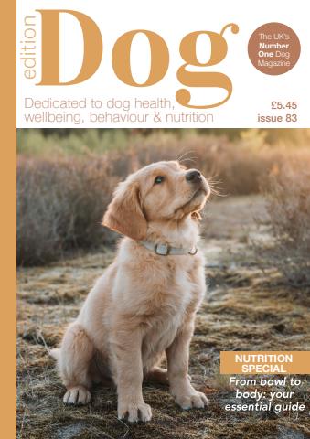 Edition Dog issue Edition Dog 83