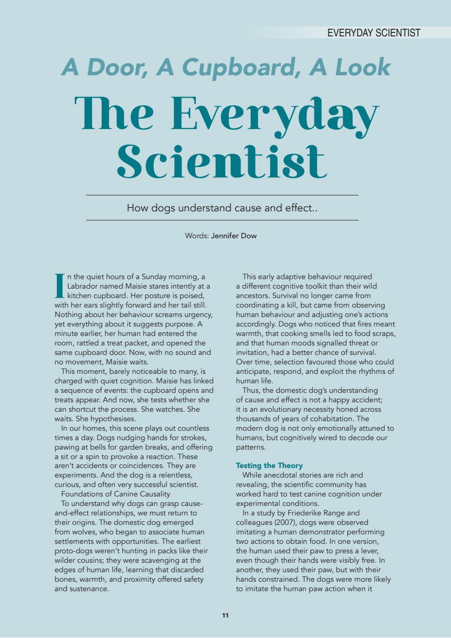 Edition Dog Preview Pages