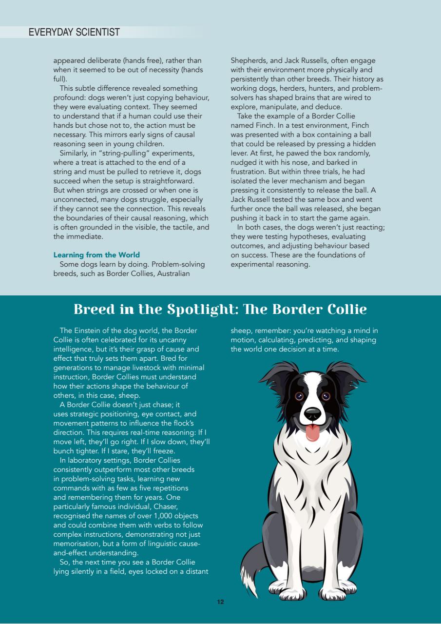Edition Dog Preview Pages