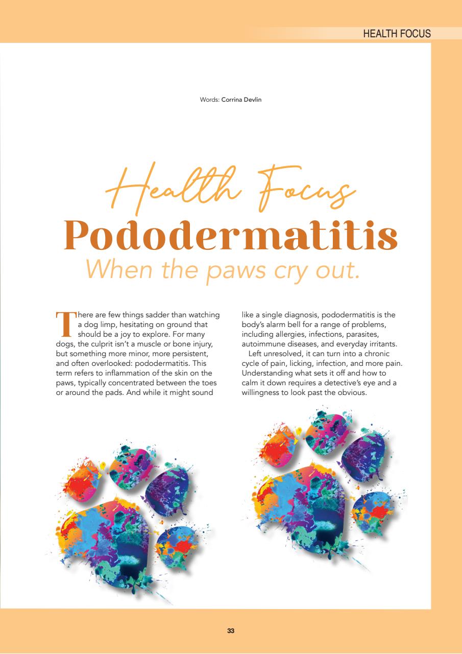 Edition Dog Preview Pages