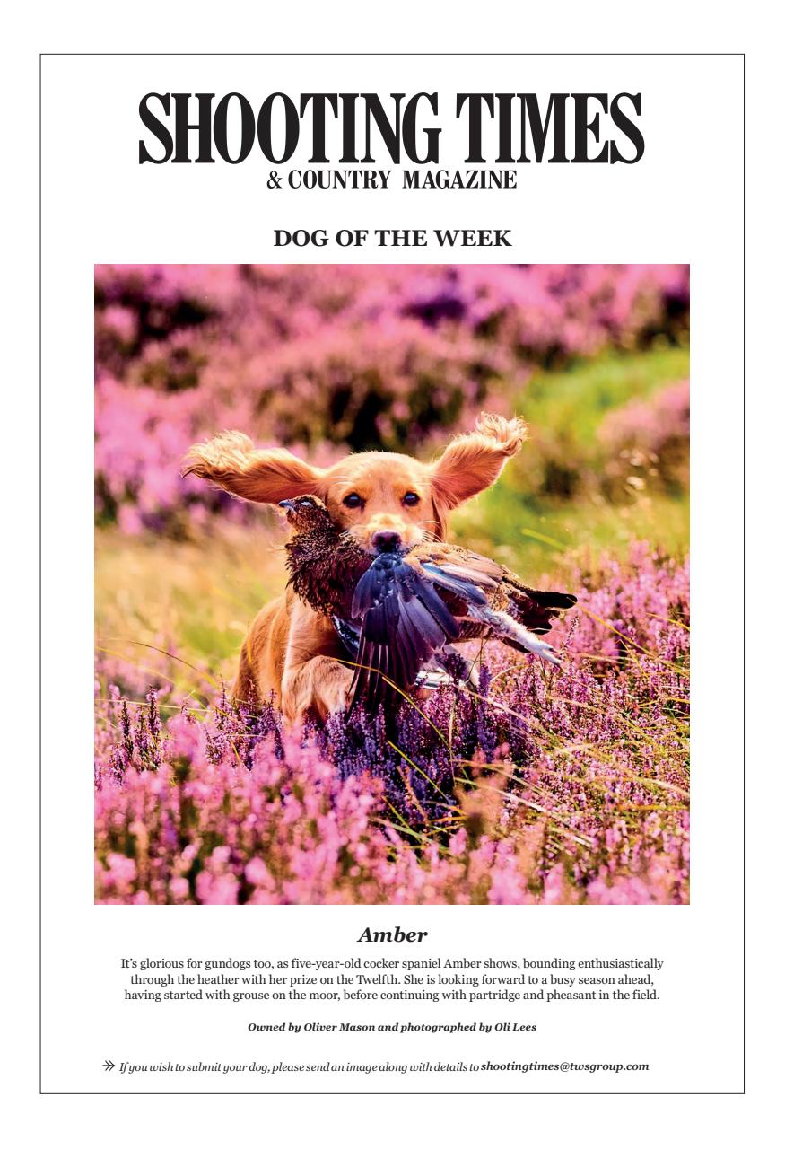 Shooting Times & Country Preview Pages